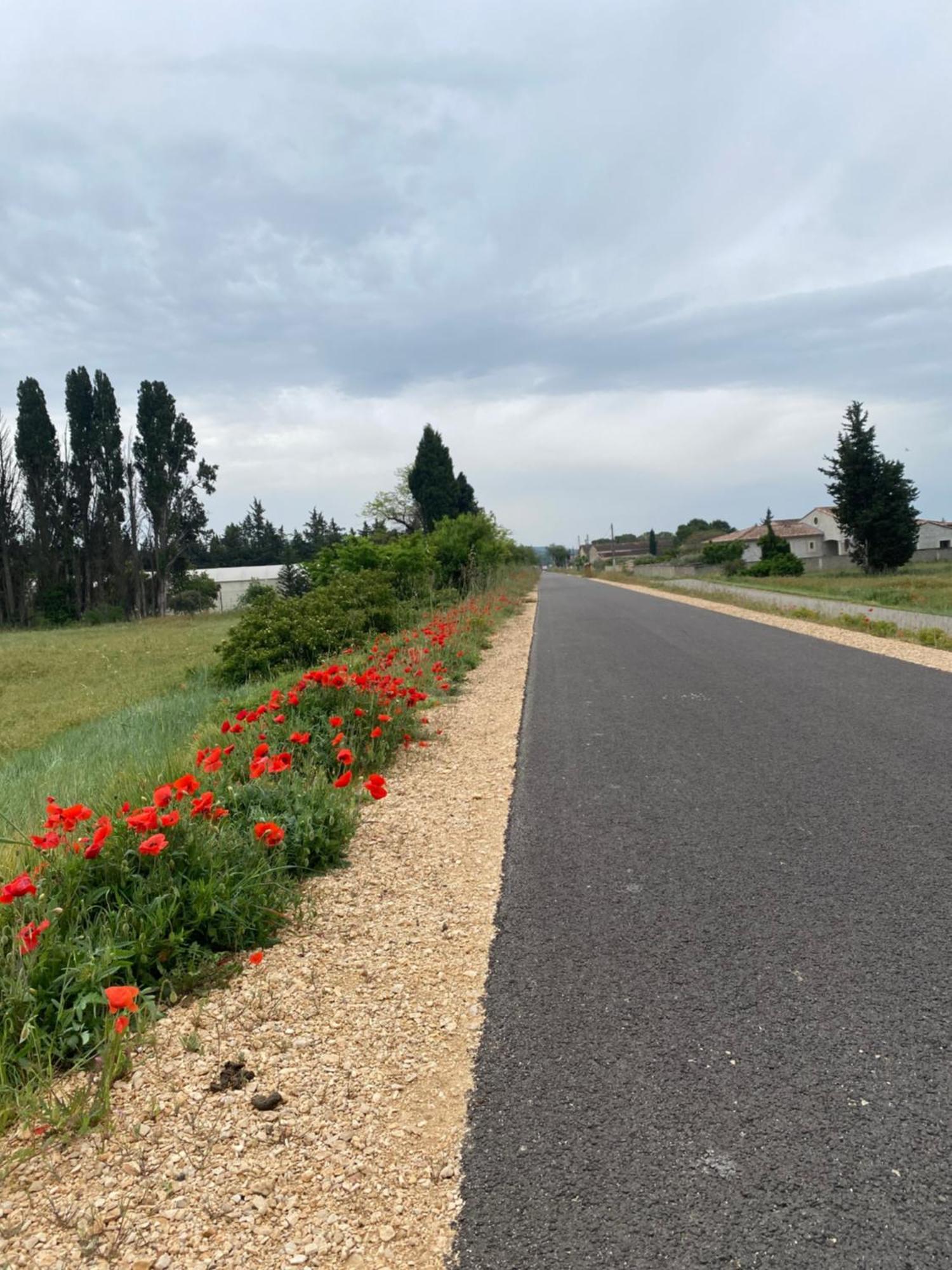 Inspiration Maison Entiere Avec Jardin Pernes-les-Fontaines Εξωτερικό φωτογραφία